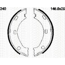 8100 10524 TRIDON Brake shoes