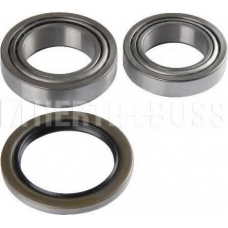 J4702014 NIPPARTS Комплект подшипника ступицы колеса