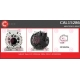 CAL15286<br />CASCO