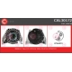 CAL30172
