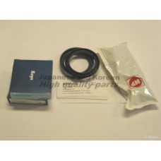 N795-60 ASHUKI Комплект подшипника ступицы колеса