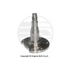 3381 BIRTH Ступица колеса