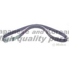 VM5-0995 ASHUKI Поликлиновой ремень