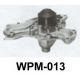 WPM-013