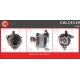 CAL14119<br />CASCO
