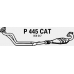 P445CAT FENNO Катализатор