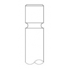 3461.006 INTERVALVES Выпускной клапан