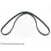ADC49626 BLUE PRINT Поликлиновой ремень