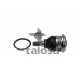47-08949<br />TALOSA
