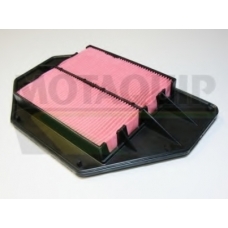 VFA1021 MOTAQUIP Воздушный фильтр