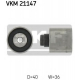 VKM 21147