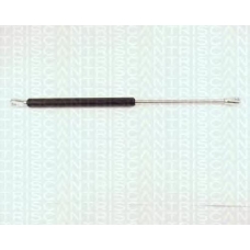 8710 1702 TRIDON Gas spring rear