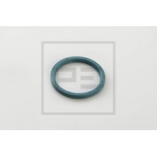 031.119-00A PE Automotive Уплотнительное кольцо, поворотного кулака