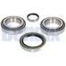 050462B BENDIX Комплект подшипника ступицы колеса