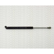 8710 11207 TRIDON Gas spring rear