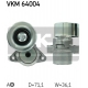 VKM 64004
