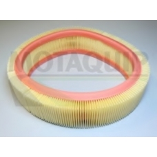 VFA251 MOTAQUIP Воздушный фильтр