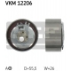 VKM 12206