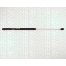 8710 65201 TRIDON Gas spring rear