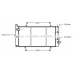 PE2105 AVA Радиатор, охлаждение двигателя