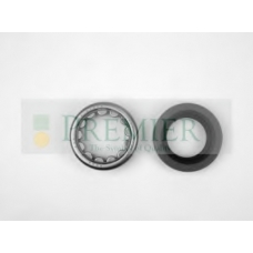 PWK0099 BRT Bearings Комплект подшипника ступицы колеса