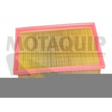 VFA1132 MOTAQUIP Воздушный фильтр