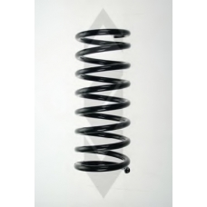 48838 SPIDAN Пружина ходовой части