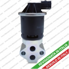 EGR026R DIPASPORT Клапан возврата ОГ