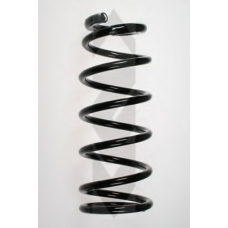 55912 SPIDAN Пружина ходовой части