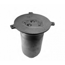 20-06-0061 VEMO/VAICO  