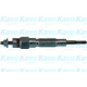 IGP-6509