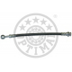 BSL-819