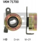 VKM 71700