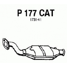 P177CAT FENNO Катализатор
