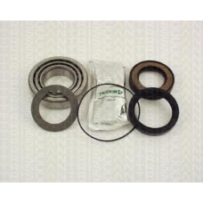 8530 42208 TRISCAN Комплект подшипника ступицы колеса