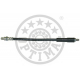 BSL-676