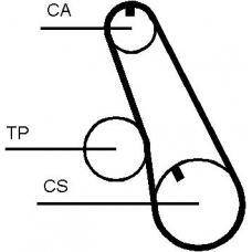 CT509 CONTITECH Conti synchrobelt®