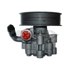 54405 SPIDAN Гидравлический насос, рулевое управление