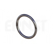 493178 ERNST Уплотнительное кольцо, труба выхлопного газа