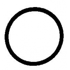 098.418 Elring Прокладка, термостат