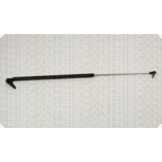 8710 50204 TRIDON Gas spring rear