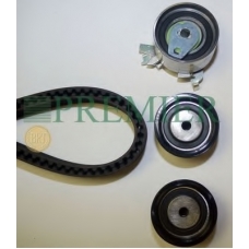 PBTK022 BRT Bearings Комплект ремня ГРМ
