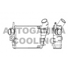 103011 AUTOGAMMA Интеркулер