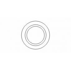 498937 ERNST Уплотнительное кольцо, труба выхлопного газа