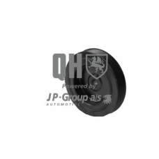 4318300209 Jp Group Ременный шкив, коленчатый вал
