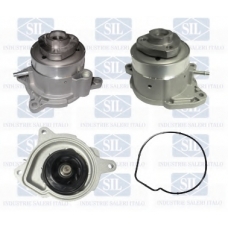 PA1494 Saleri SIL Водяной насос