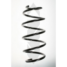 56789 SPIDAN Пружина ходовой части