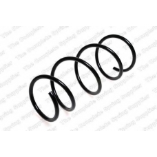 CS4065 ROC Пружина ходовой части