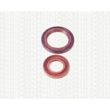 8648 10007 TRISCAN Уплотняющее кольцо, распределительный вал