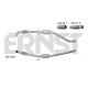 757225<br />ERNST